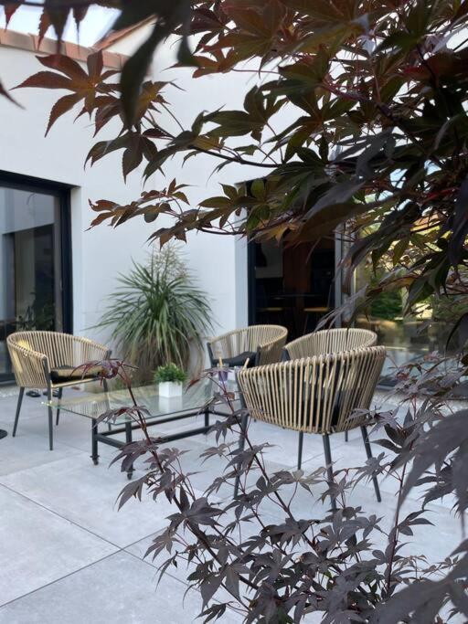 Villa Moderne Avec Piscine ألبي المظهر الخارجي الصورة