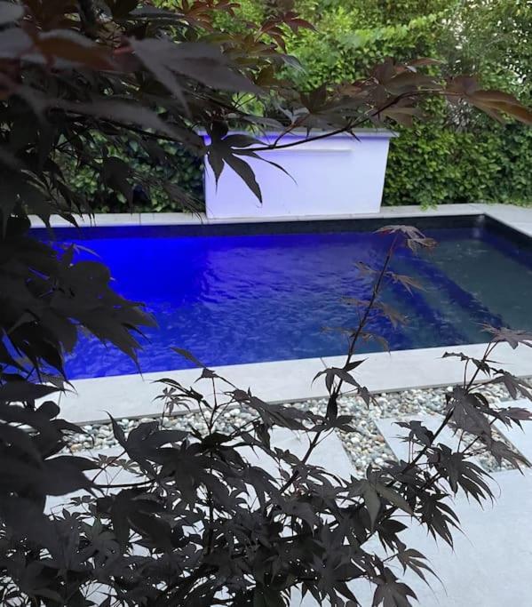 Villa Moderne Avec Piscine ألبي المظهر الخارجي الصورة